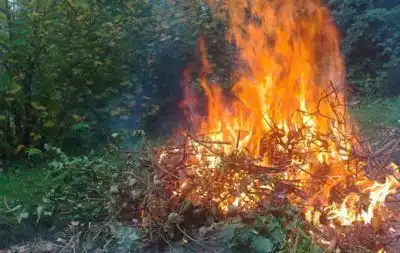 brûlage des déchets verts