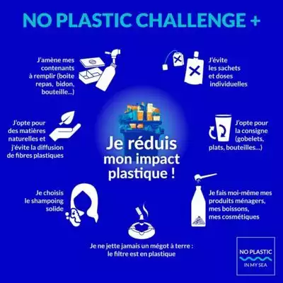 Affiche No Plastic Challenge +