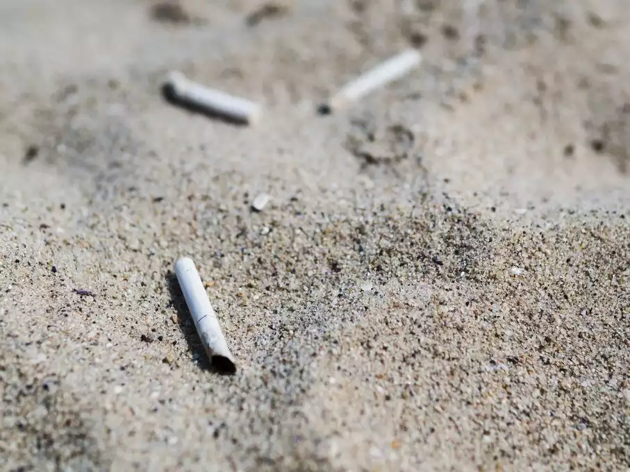 Lutte contre la pollution des cigarettes : Alcome, le nouvel Eco-Organisme pour le ramassage des mégots